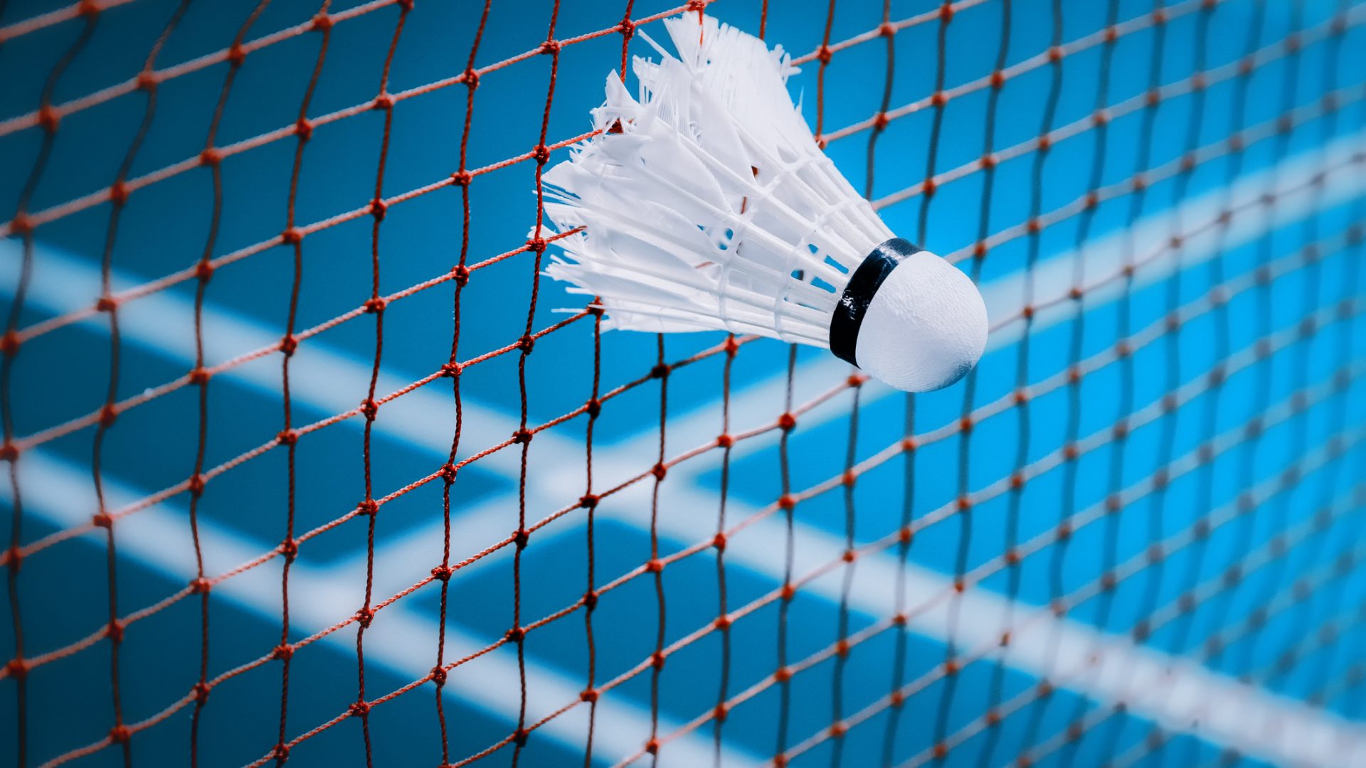 Accédez à la page du SCB Badminton
