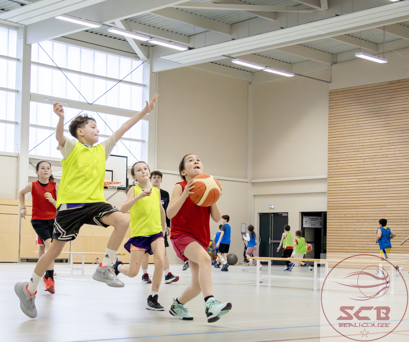basket-ball,SCB Basket,basket